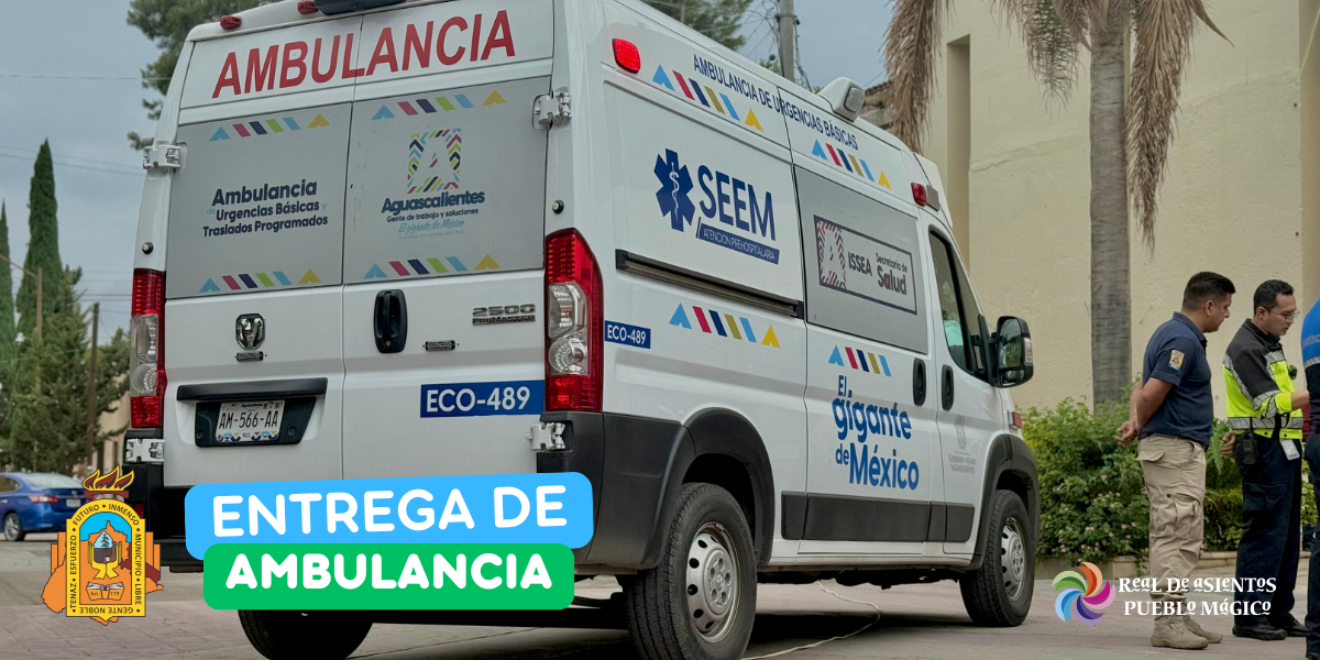 Imagen 10
