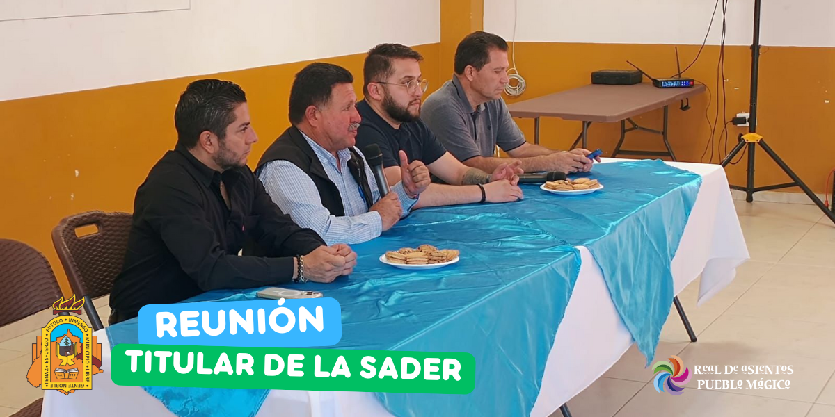 Imagen 5